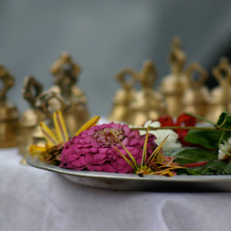 Photo of a plate of flowers