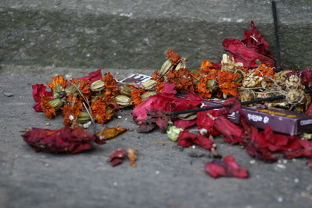 Flower Petals on Stone